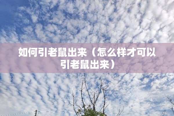 如何引老鼠出来（怎么样才可以引老鼠出来）