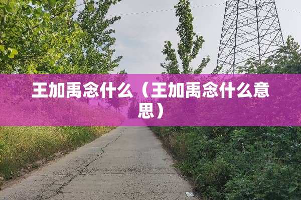 王加禹念什么（王加禹念什么意思）