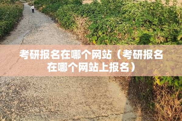 考研报名在哪个网站（考研报名在哪个网站上报名）