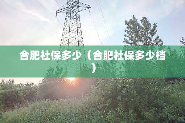合肥社保多少（合肥社保多少档）
