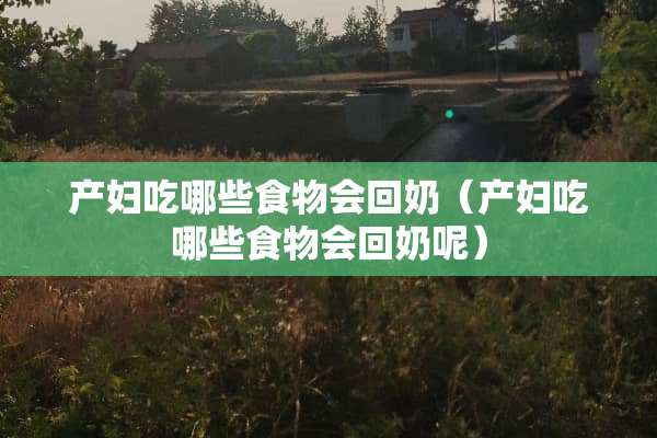 产妇吃哪些食物会回奶（产妇吃哪些食物会回奶呢）