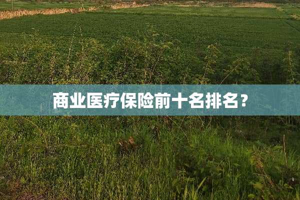 商业医疗保险前十名排名？