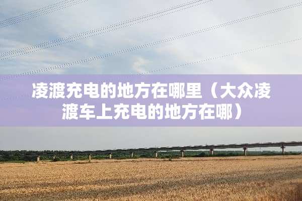 凌渡充电的地方在哪里（大众凌渡车上充电的地方在哪）