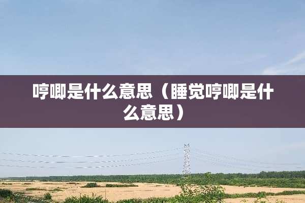 哼唧是什么意思（睡觉哼唧是什么意思）