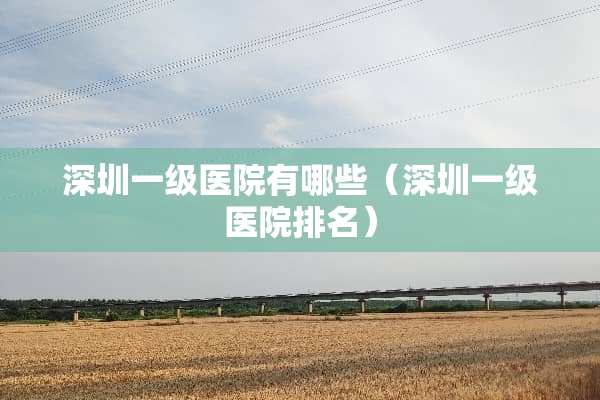 深圳一级医院有哪些（深圳一级医院排名）
