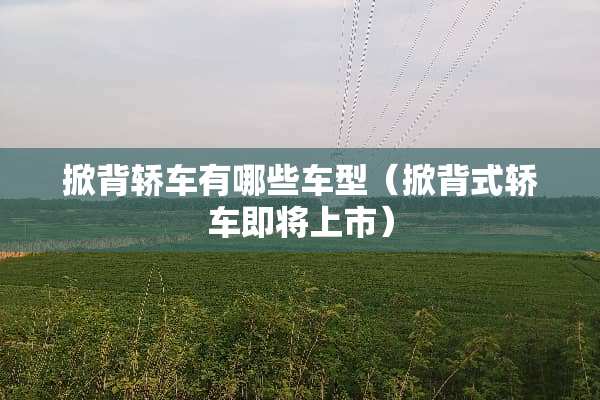 掀背轿车有哪些车型（掀背式轿车即将上市）