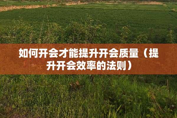 如何开会才能提升开会质量（提升开会效率的法则）