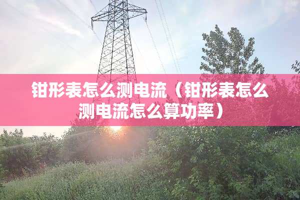 钳形表怎么测电流（钳形表怎么测电流怎么算功率）