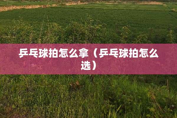 乒乓球拍怎么拿（乒乓球拍怎么选）
