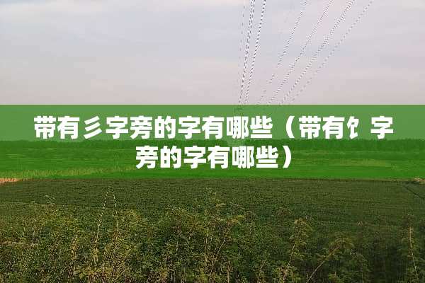 带有彡字旁的字有哪些（带有饣字旁的字有哪些）