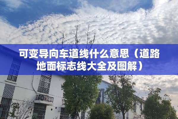 可变导向车道线什么意思（道路地面标志线大全及图解）