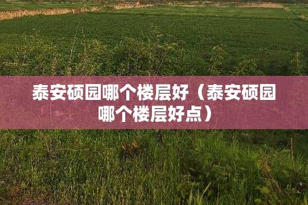 **硕园哪个楼层好（**硕园哪个楼层好点）