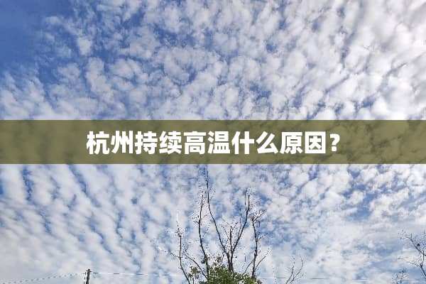 杭州持续高温什么原因？