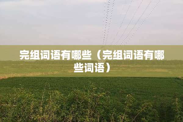 完组词语有哪些（完组词语有哪些词语）