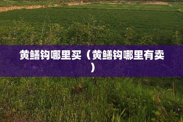 黄鳝钩哪里买（黄鳝钩哪里有卖）