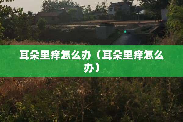 耳朵里痒怎么办（耳朵里痒怎么办）