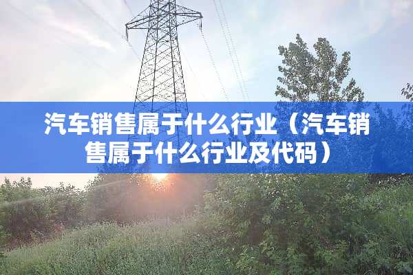 汽车销售属于什么行业（汽车销售属于什么行业及代码）