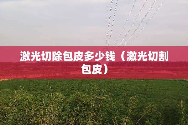 激光切除包皮多少钱（激光切割包皮）