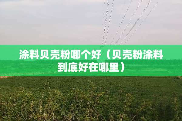 涂料贝壳粉哪个好（贝壳粉涂料到底好在哪里）