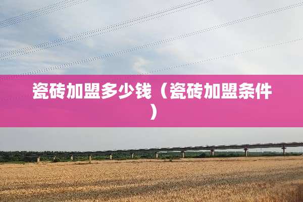瓷砖加盟多少钱（瓷砖加盟条件）