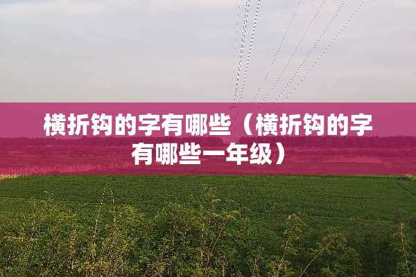 横折钩的字有哪些（横折钩的字有哪些一年级）