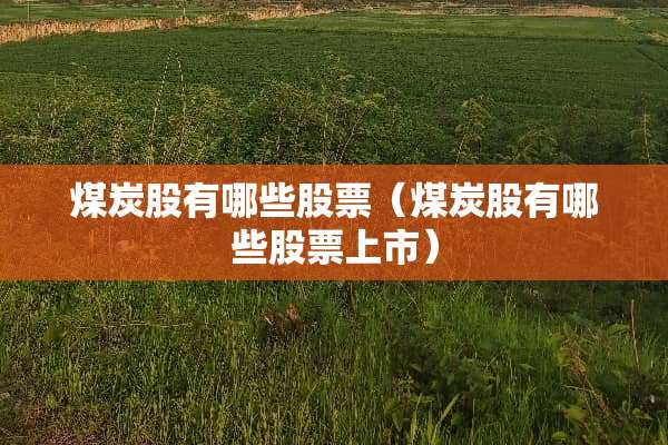 煤炭股有哪些股票（煤炭股有哪些股票上市）