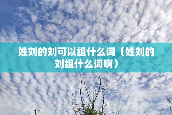 姓刘的刘可以组什么词（姓刘的刘组什么词啊）
