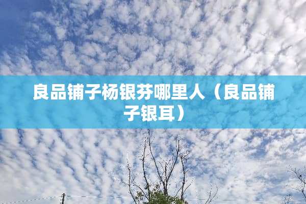 良品铺子杨银芬哪里人（良品铺子银耳）