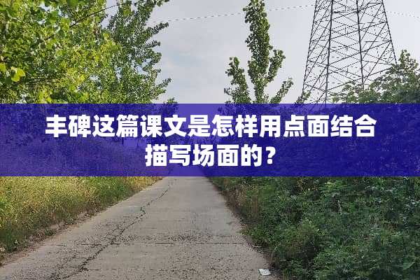 丰碑这篇课文是怎样用点面结合描写场面的？