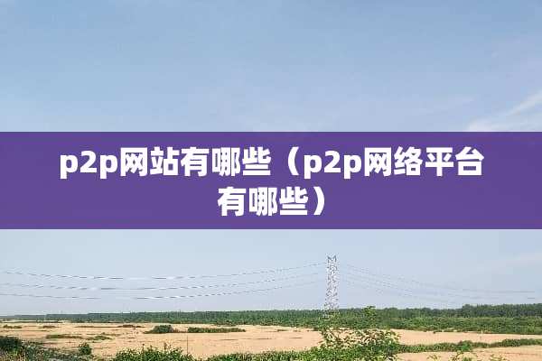 p2p网站有哪些（p2p网络平台有哪些）