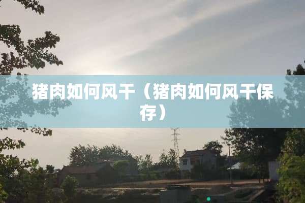 猪肉如何风干（猪肉如何风干保存）