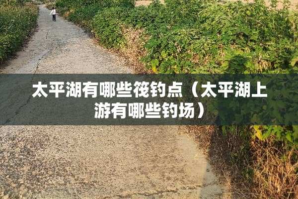 太平湖有哪些筏钓点（太平湖上游有哪些钓场）