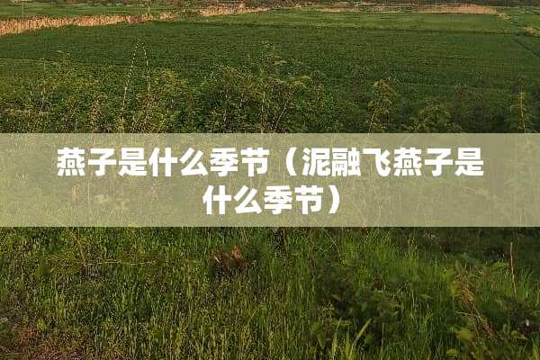 燕子是什么季节（泥融飞燕子是什么季节）