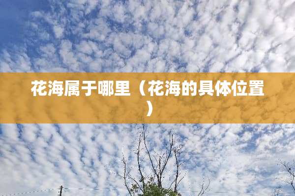 花海属于哪里（花海的具体位置）