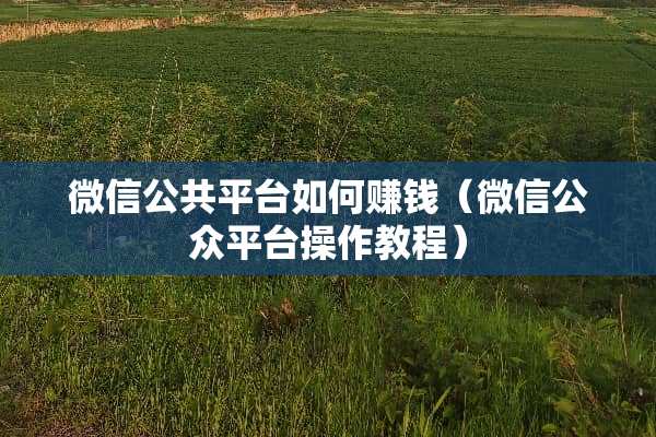 微信公共平台如何赚钱（微信公众平台操作教程）