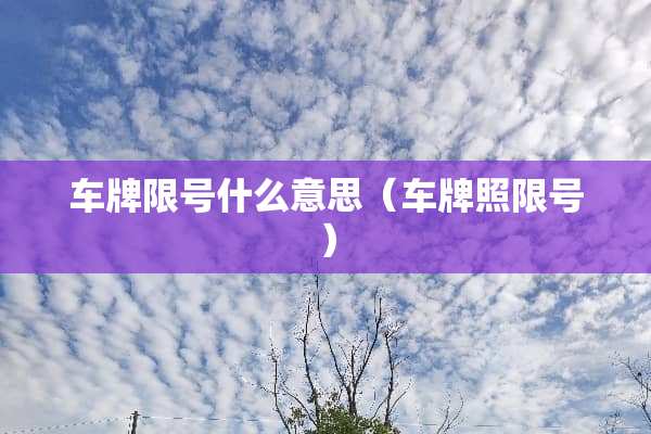 车牌限号什么意思（车牌照限号）