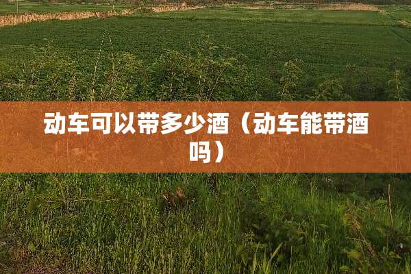 动车可以带多少酒（动车能带酒吗）