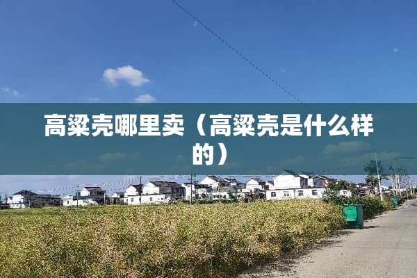 高粱壳哪里卖（高粱壳是什么样的）