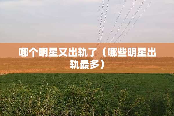 哪个明星又**了（哪些明星**最多）