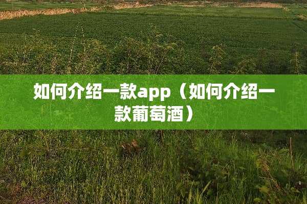 如何介绍一款app（如何介绍一款葡萄酒）