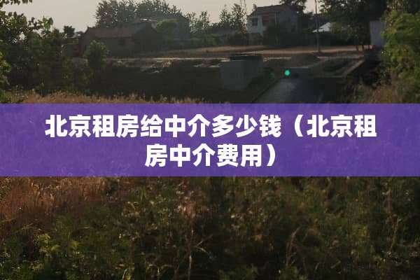 北京租房给中介多少钱（北京租房中介费用）