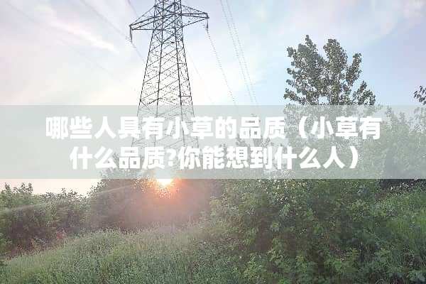 哪些人具有小草的品质（小草有什么品质?你能想到什么人）