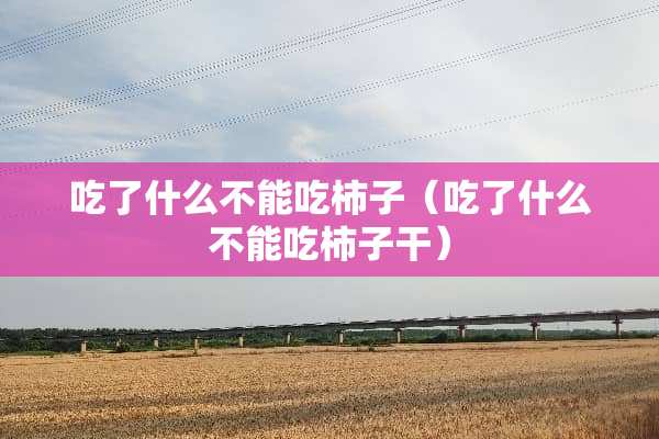 吃了什么不能吃柿子（吃了什么不能吃柿子干）