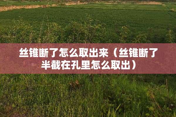 丝锥断了怎么取出来（丝锥断了半截在孔里怎么取出）