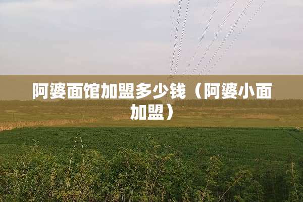 阿婆面馆加盟多少钱（阿婆小面加盟）