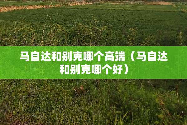 ***和别克哪个高端（***和别克哪个好）
