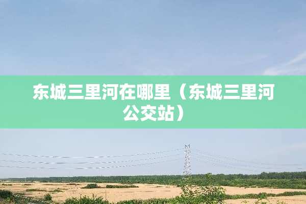 东城三里河在哪里（东城三里河公交站）