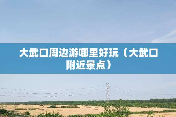 大武口周边游哪里好玩（大武口附近景点）