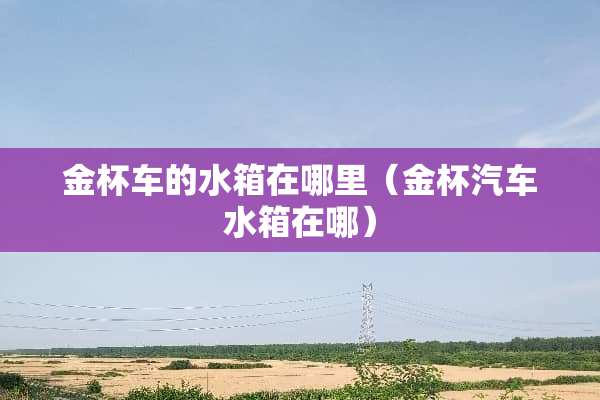 金杯车的水箱在哪里（金杯汽车水箱在哪）