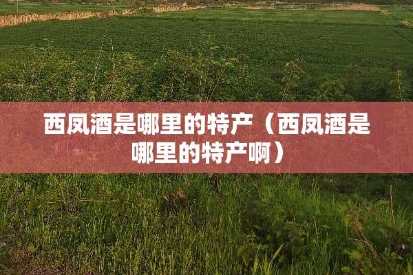 西凤酒是哪里的特产（西凤酒是哪里的特产啊）